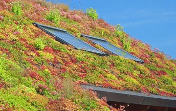 Foxlydiate living roof systems